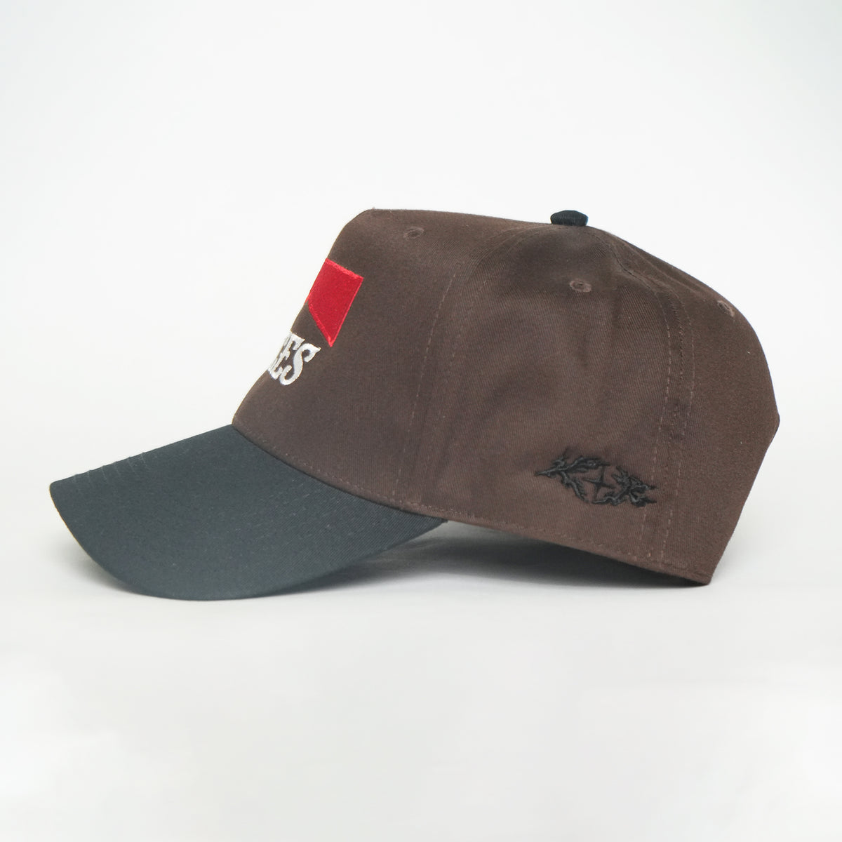 Vices Snapback