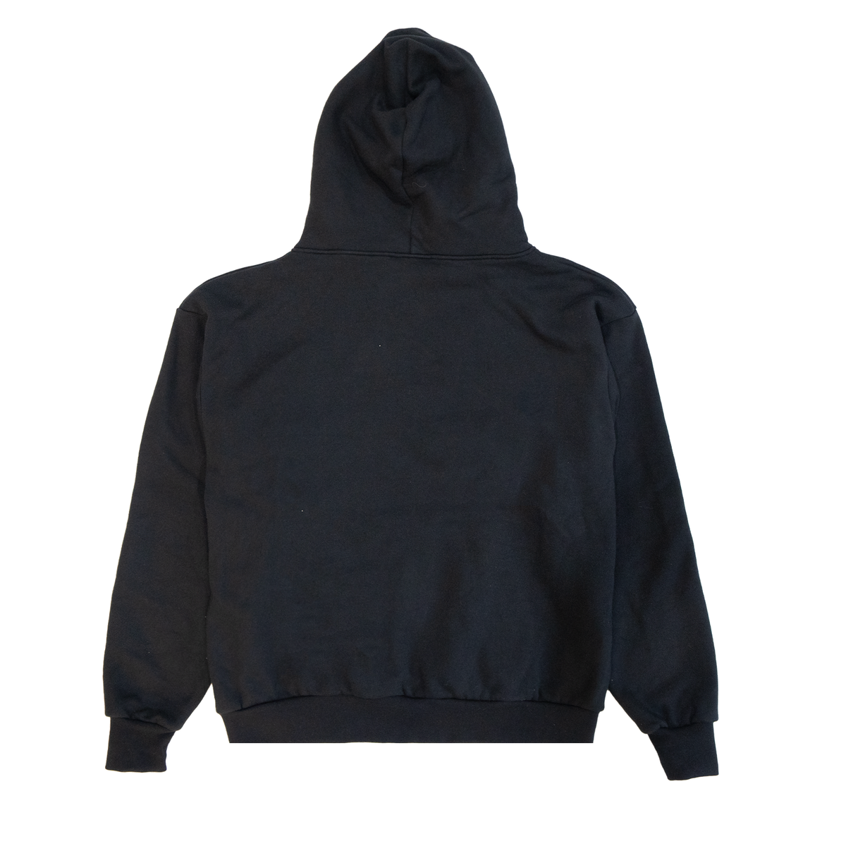 What if we could Embroidered Hoodie